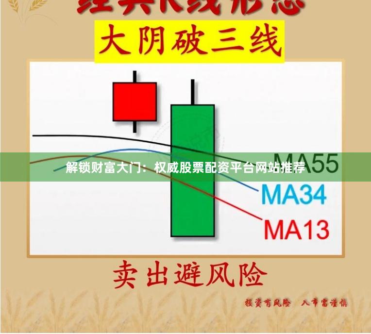 解锁财富大门：权威股票配资平台网站推荐