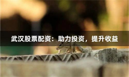 武汉股票配资：助力投资，提升收益