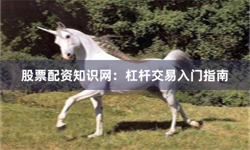 股票配资知识网：杠杆交易入门指南