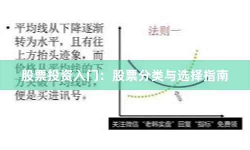 股票投资入门：股票分类与选择指南